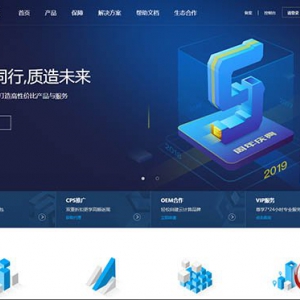 精仿小鸟云官网高大上模板，可做对接IDC站
