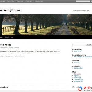 WordPress博客系统 v4.7.5 正式版