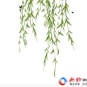 绿色柳条飘动燕子飞舞透明flash动画效果素材