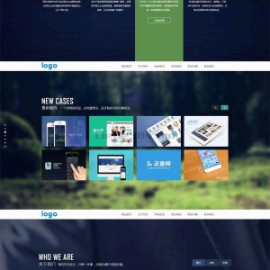 html5全屏的IT网络科技公司网站模板